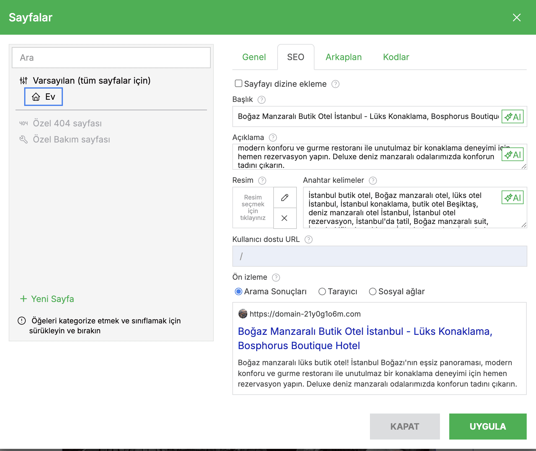 Hazır web sitesi SEO paneli
