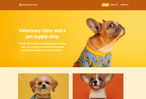 Modern Business Template
