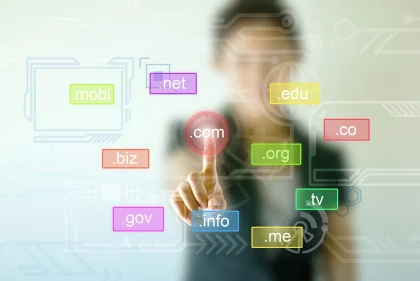 Multi-Domain Hosting Yönetimi: İşletmenizin Çoklu Alan Adı Stratejisi