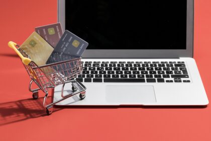E-ticaret Hosting: Yüksek Trafikli Online Mağaza Rehberi