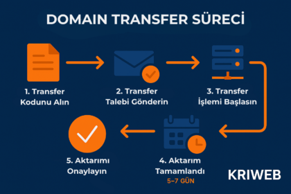 domain transfer süreci