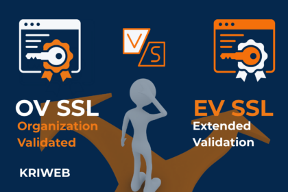 ov ssl ev ssl farkı