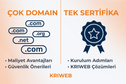 wildcard ssl sertifikası
